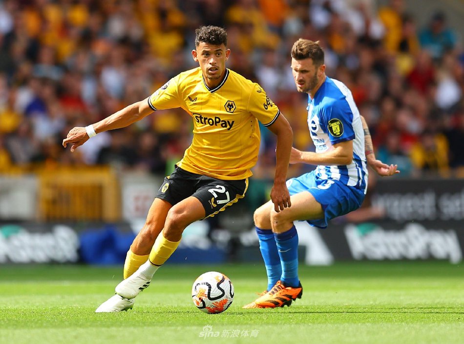 社会影响 社会影响