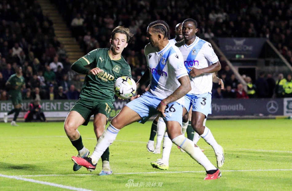 的未来提供 的未来提供